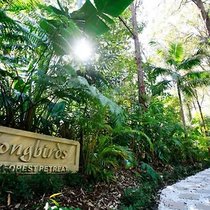 Songbirds Rainforest Retreat Villa